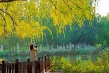 德州扑克输100万-德州扑克输掉100万，一场意外与反思