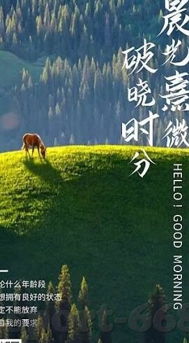 足球比分滚球直播-足球比分滚球直播，一场速度与激情交织的实时盛宴